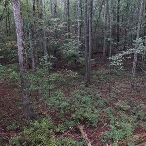 Meet your Posher, Stephen